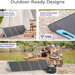 Renogy 200W Portable Solar Panel, IP65 Waterproof Foldable Solar Panel Power Backup, Solar Charger for Power Station RV Camping Off Grid